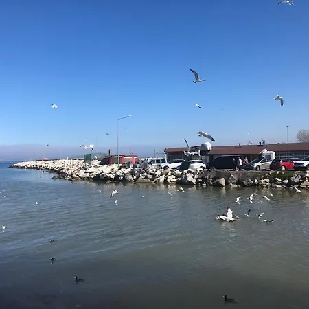 Yalova_merkez * Yalova (Yalova)